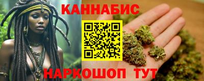 амф Кингисепп