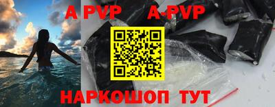 амф Кингисепп