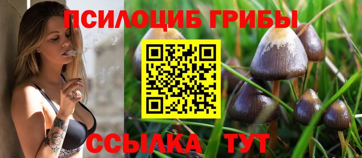 Псилоцибиновые грибы мухоморы Кизляр