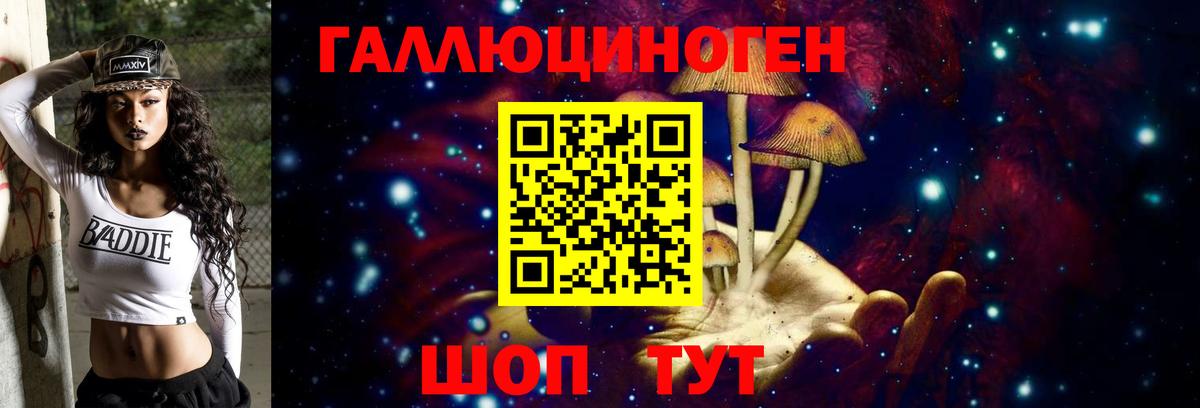 Кизляр  Галлюциногенные грибы Psilocybine cubensis  Вход с VPN 